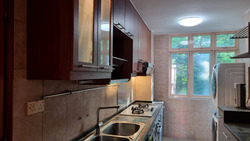 Le Hill Condominium (D5), Condominium #479267831